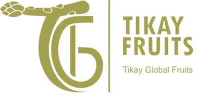 logo de Tikay